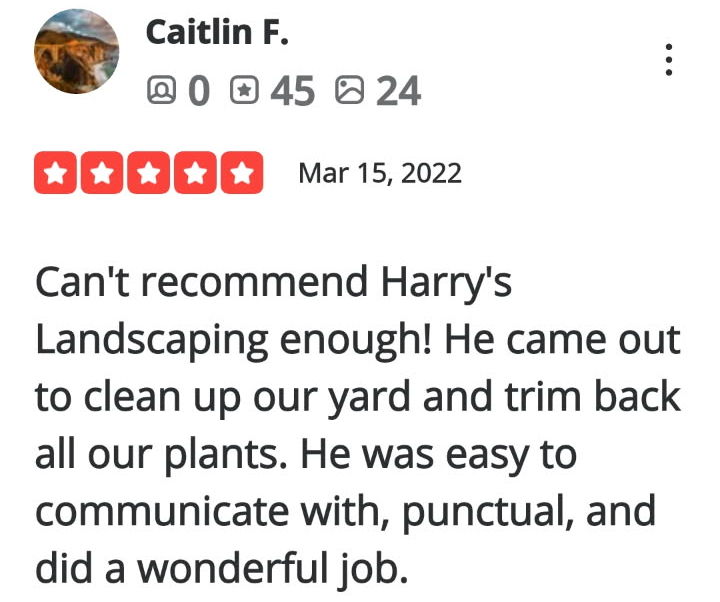 Review-19