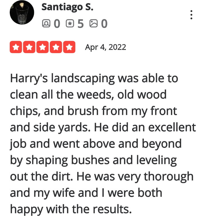 Review-20