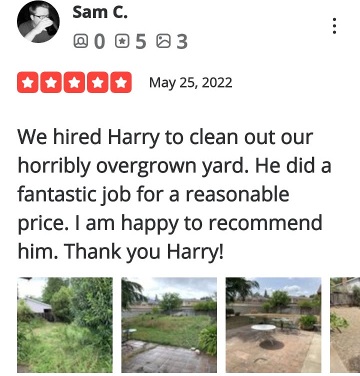 Review-23