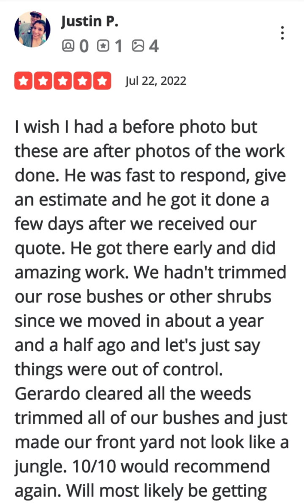 Review-25