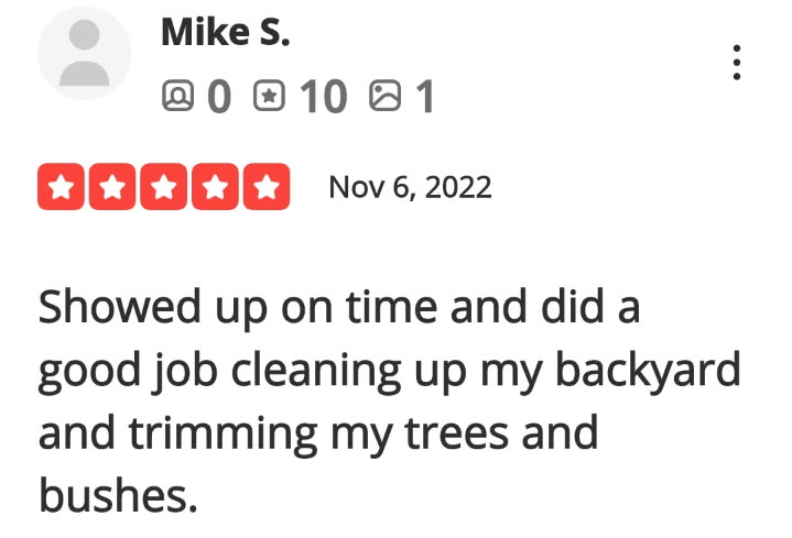 Review-29