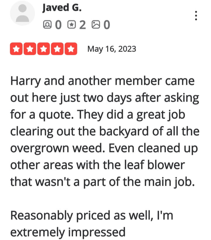 Review-37