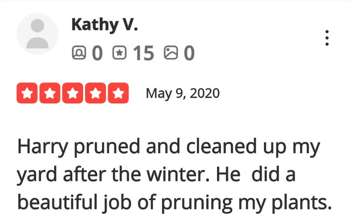 Review-4