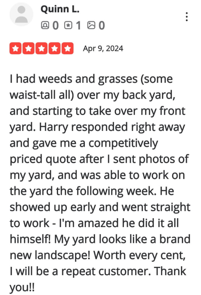 Review-43