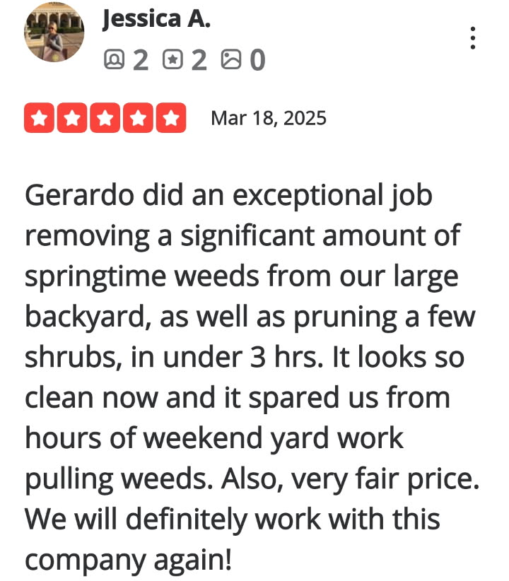 Review-56