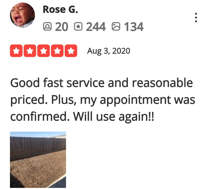 Review-6
