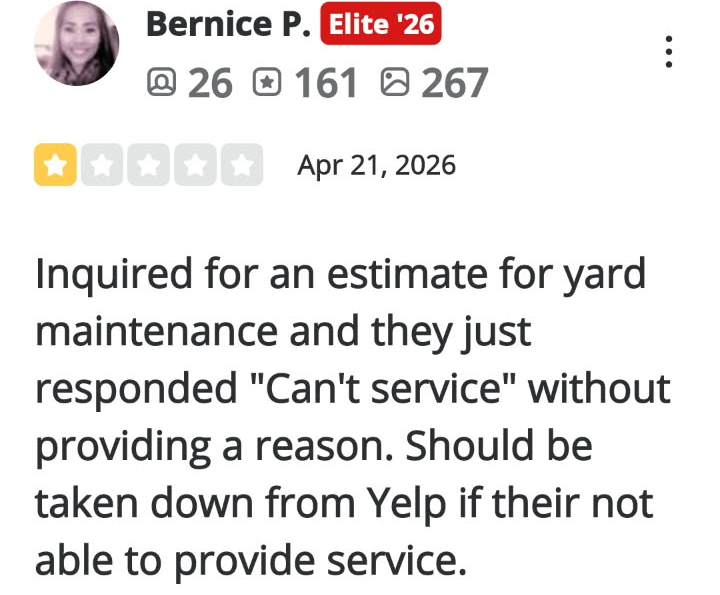 Review-61