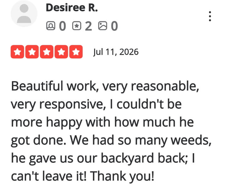 Review-62